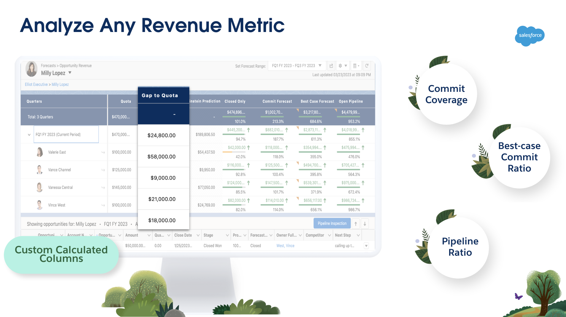 Salesforce Sales Cloud screenshot & Video